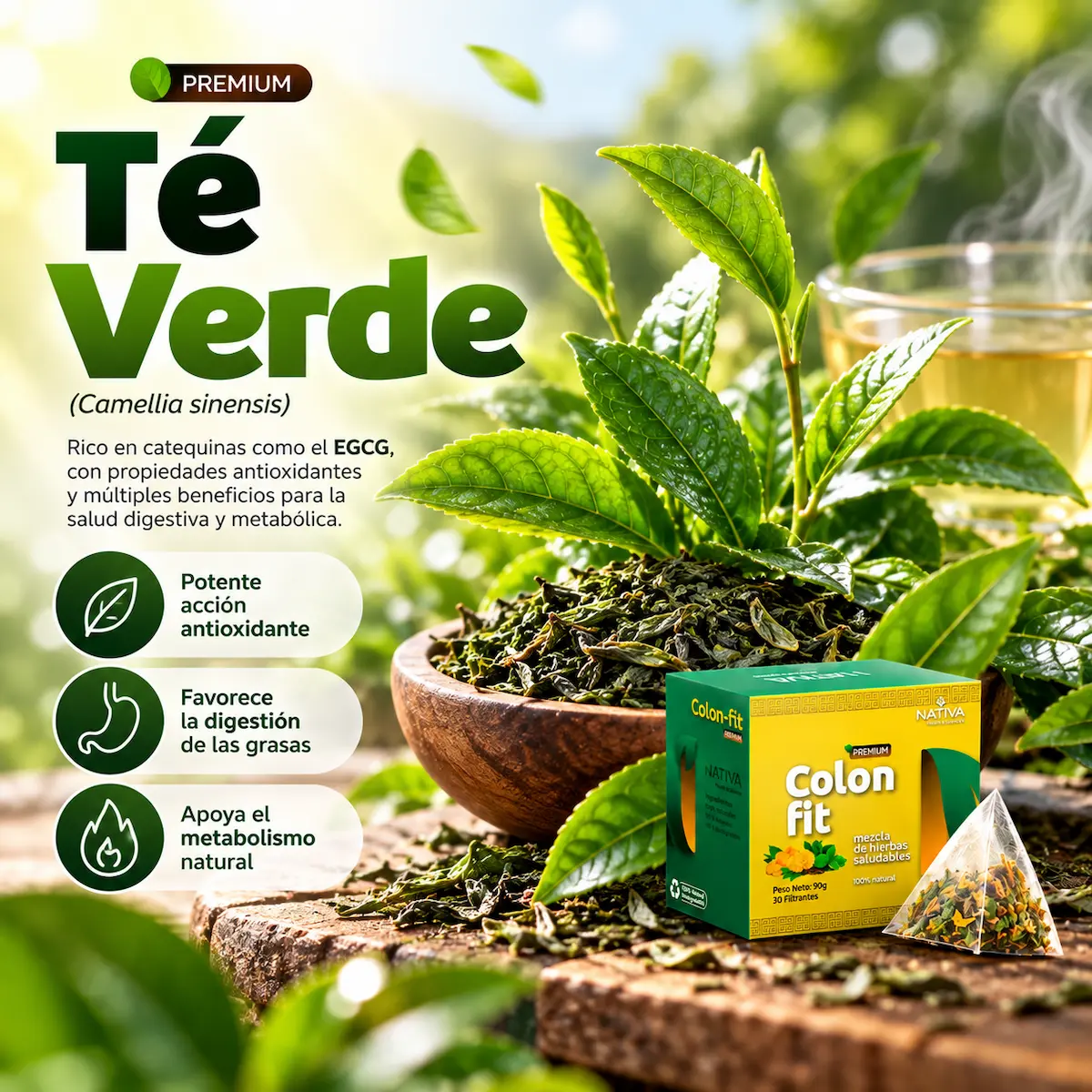 Té verde declarada en Colon Fit